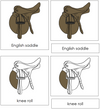 English Saddle Nomenclature 3-Part Cards - Montessori Print Shop