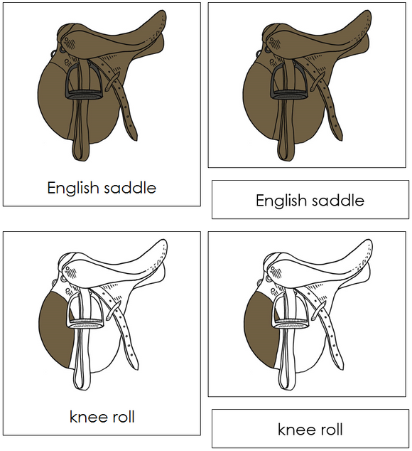 English Saddle Nomenclature Cards - Montessori Print Shop