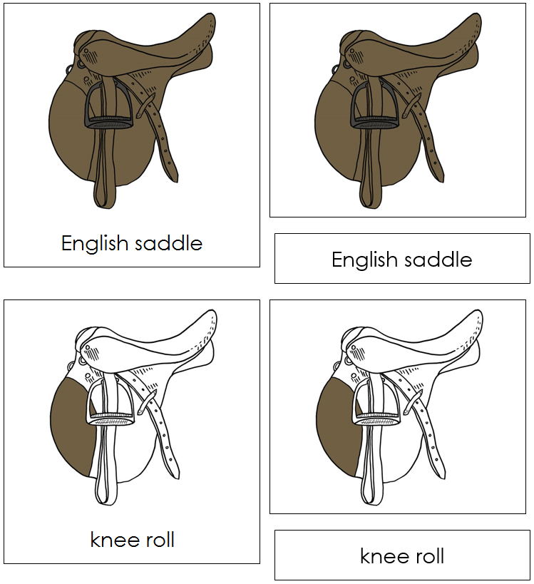 English Saddle Nomenclature 3-Part Cards - Montessori Print Shop