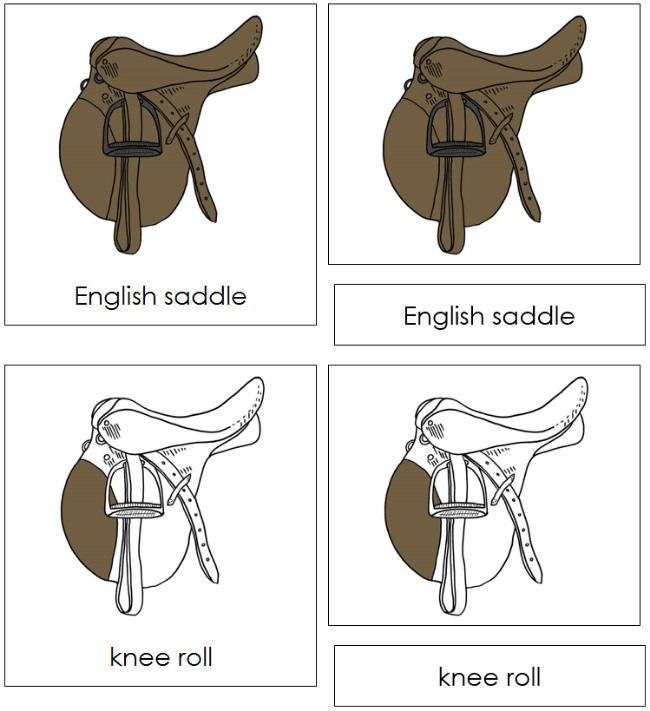 Parts of an English Saddle Nomenclature 3-Part Cards - Montessori Print Shop Digital Download