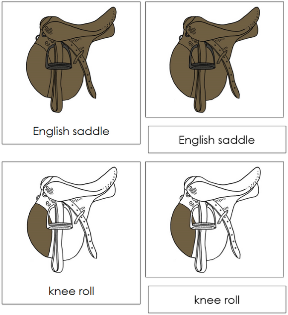 Parts of an English Saddle Nomenclature Cards - Montessori Print Shop Digital Download