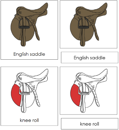 English Saddle Nomenclature Cards (red) - Montessori Print Shop