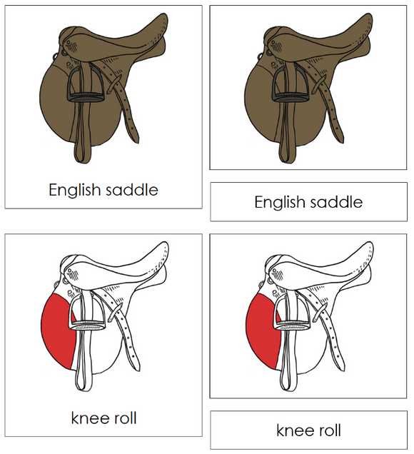Parts of an English Saddle Nomenclature Cards (red) - Montessori Print Shop Digital Download