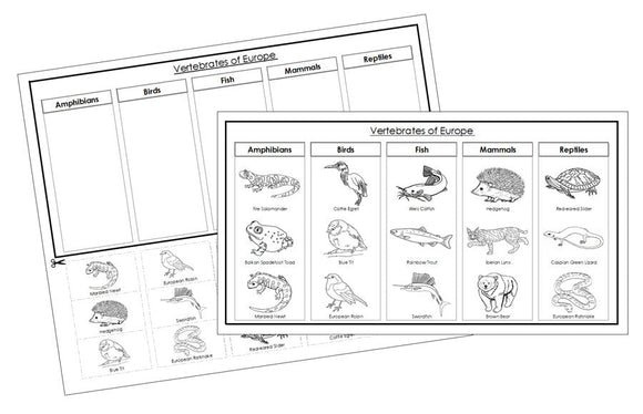 Europe Vertebrate Sorting Blackline Masters - Montessori Print Shop Digital Download animal activity