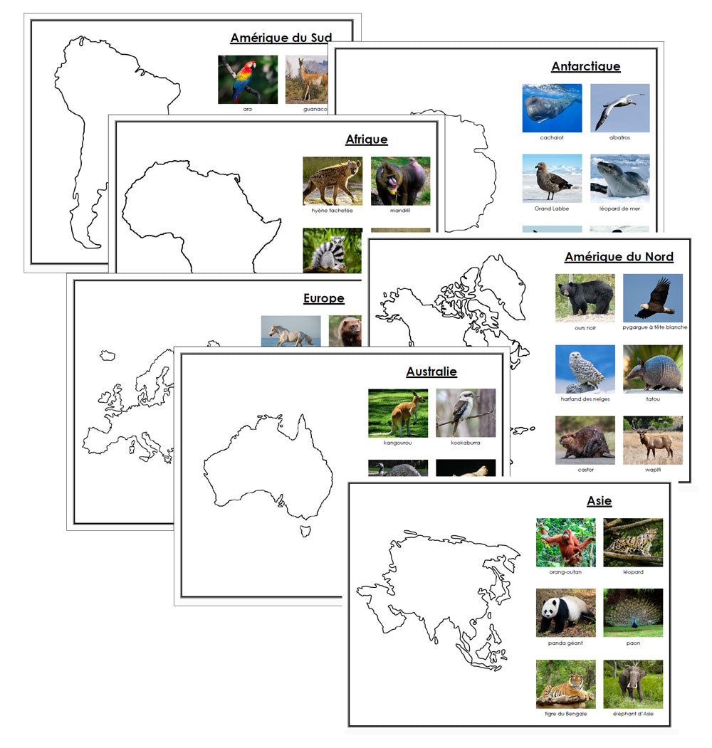 Animals of the 7 Continents - Set 2 - FRENCH - Montessori Print Shop Digital Download - Geography 