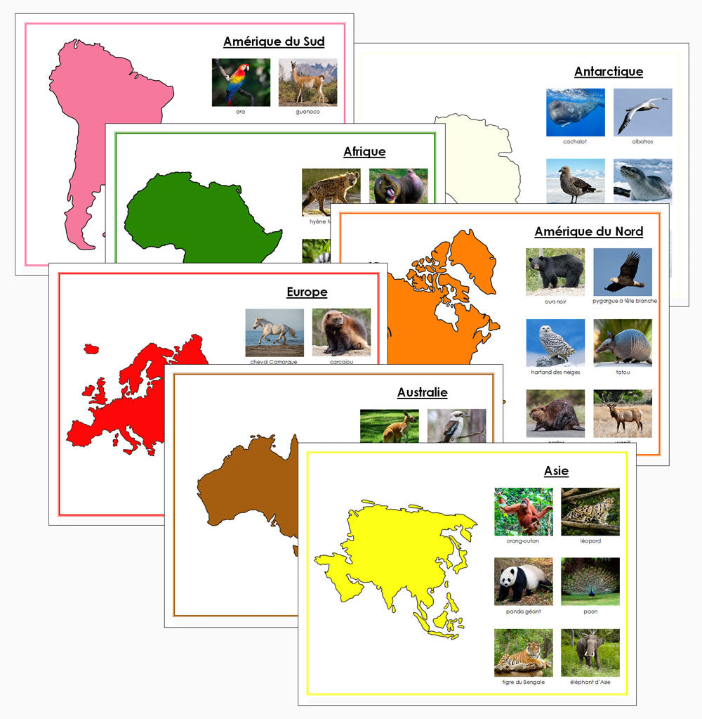 Animaux des continents (Animals of the Continents) Set 2 - Montessori Print Shop