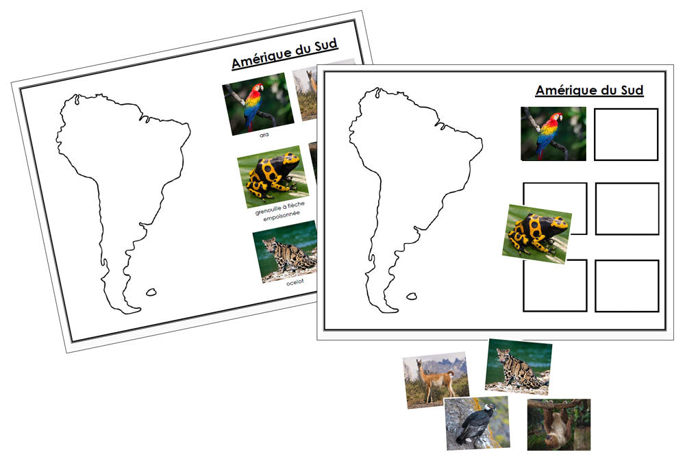 Animals of the 7 Continents - Set 2 - FRENCH - Montessori Print Shop Digital Download  - Geography 