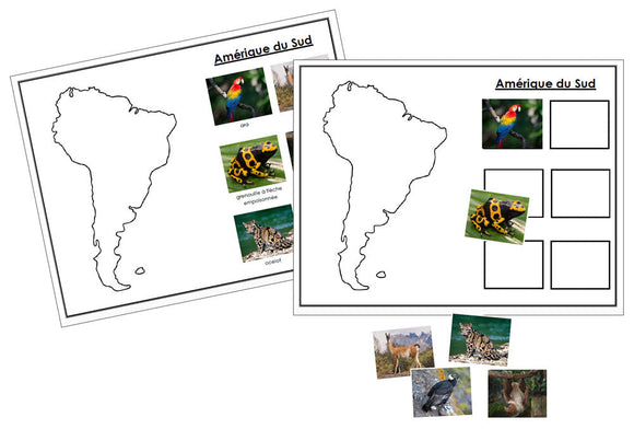 Animals of the 7 Continents - Set 2 - FRENCH - Montessori Print Shop Digital Download - Geography 
