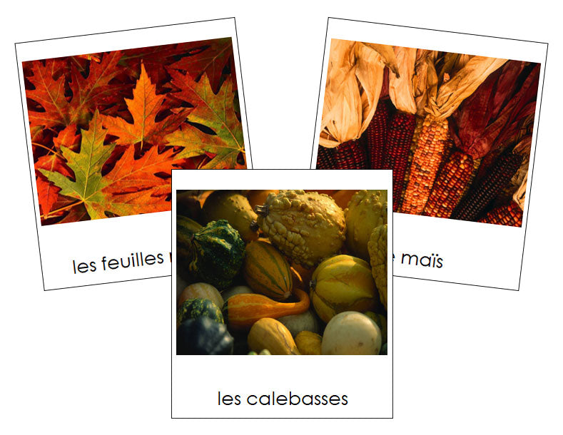 French - Autumn Season - Les cartes de las saison d'hiver - Montessori Print Shop Digital Download