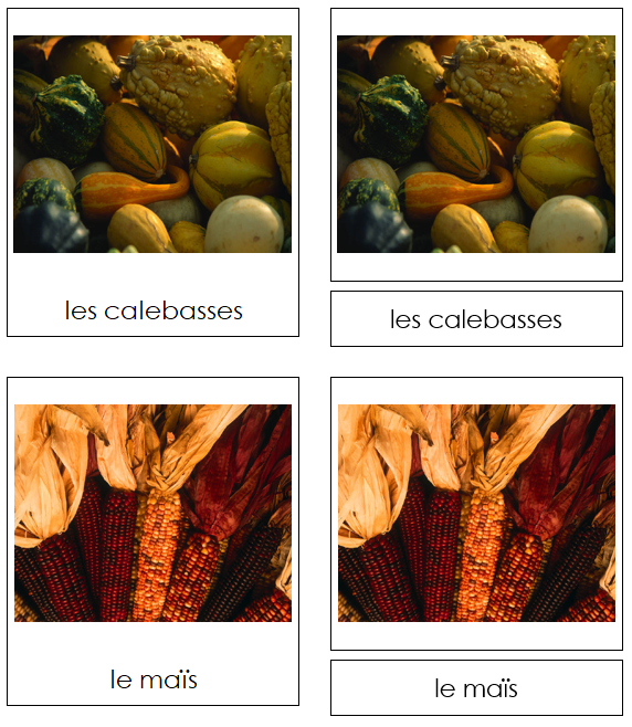 French - Autumn Season - Les cartes de las saison d'hiver - Montessori Print Shop Digital Download