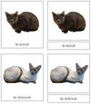 French - Cats - Les cartes de chat - Montessori Print Shop