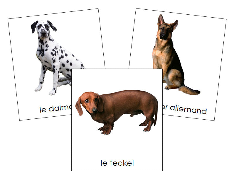 French - Dogs - Les cartes de chien - Montessori Print Shop Digital Download