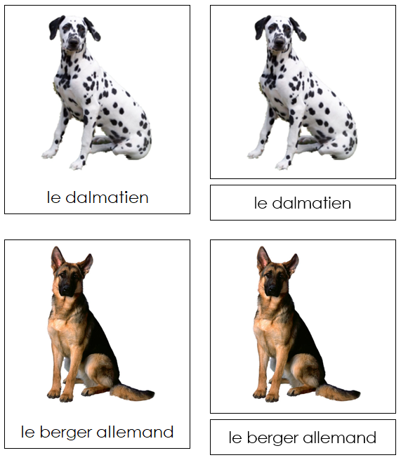 French - Dogs - Les cartes de chien - Montessori Print Shop Digital Download