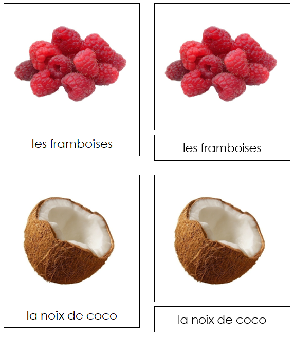 French - Fruits - Les cartes de fruits - Montessori Print Shop Digital Download