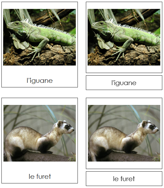 French - Pets - Les animaux familiers - Montessori Print Shop Digital Download