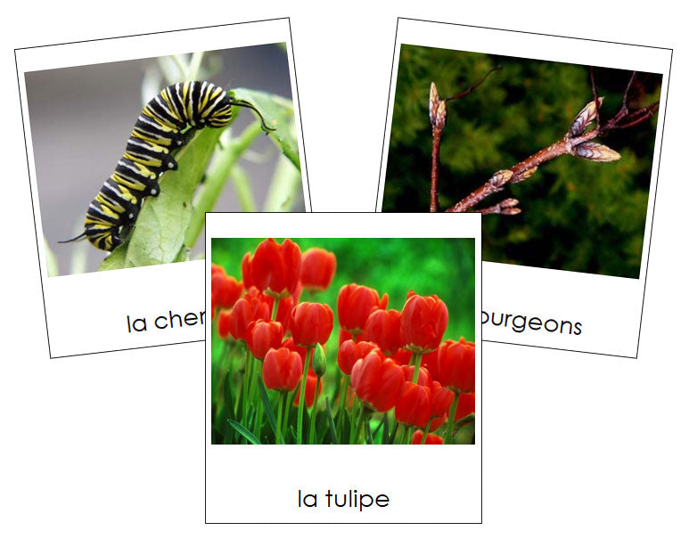 French - Spring Season - Les cartes de saison de printemps - Montessori Print Shop Digital Download