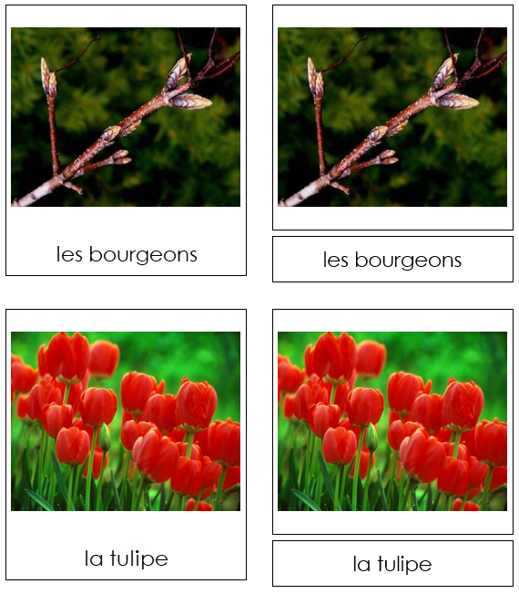 French - Spring Season - Les cartes de saison de printemps - Montessori Print Shop Digital Download