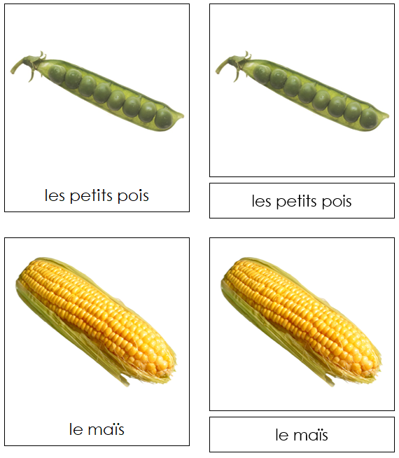 French - Vegetables - Les cartes de légumes - Montessori Print Shop Digital Download