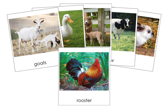 Types of Farm Animals 3-Part Cards - Montessori Print Shop Digital Download