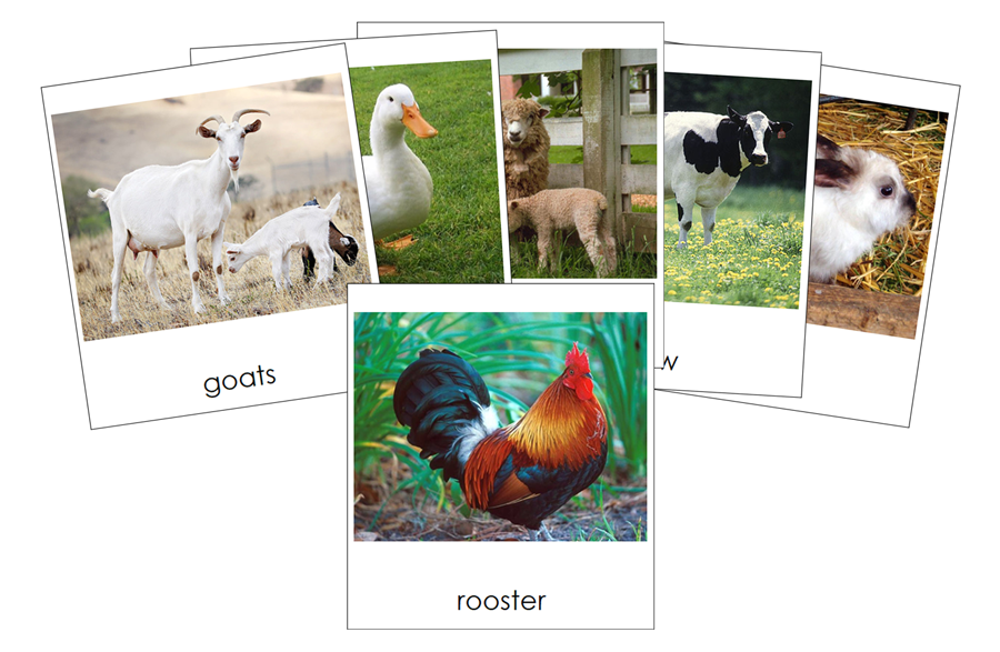 Types of Farm Animals 3-Part Cards - Montessori Print Shop Digital Download