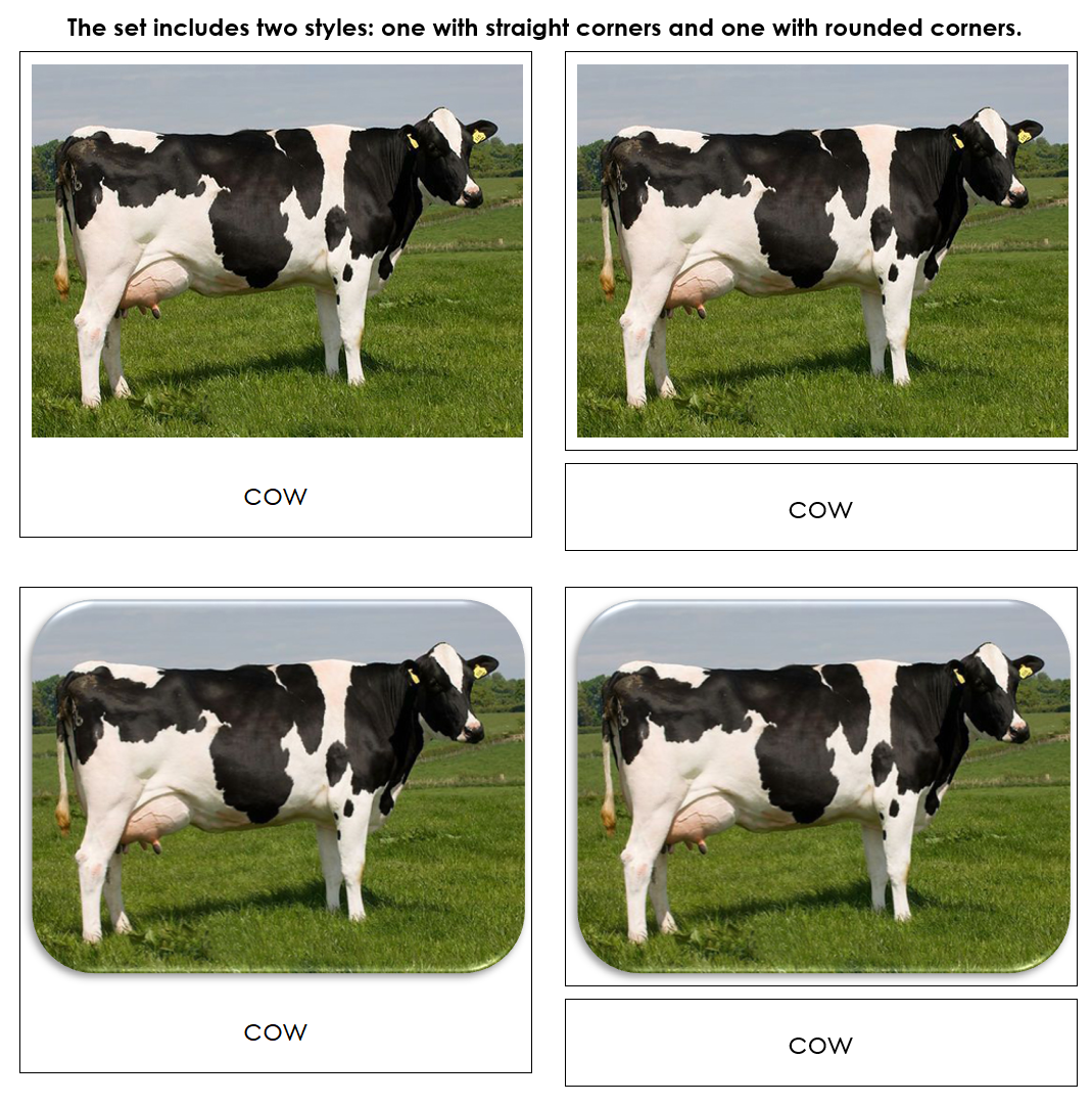 Farm - Safari Toob Cards - Montessori Print Shop Digital Download