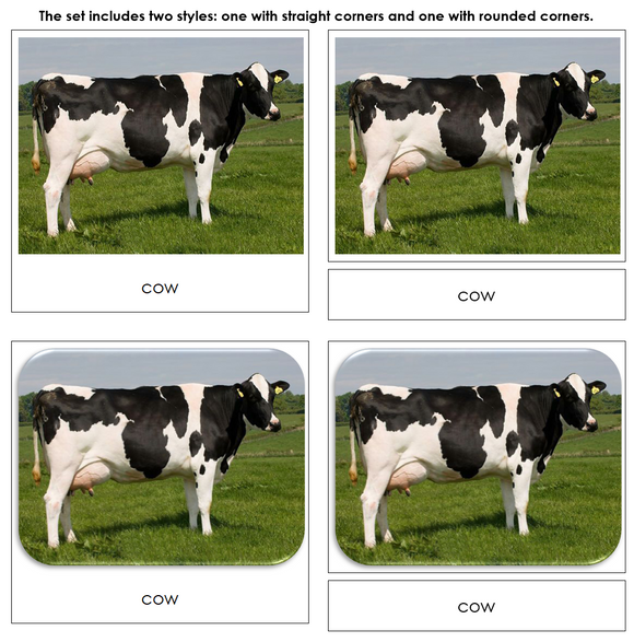 Farm - Safari Toob Cards - Montessori Print Shop Digital Download