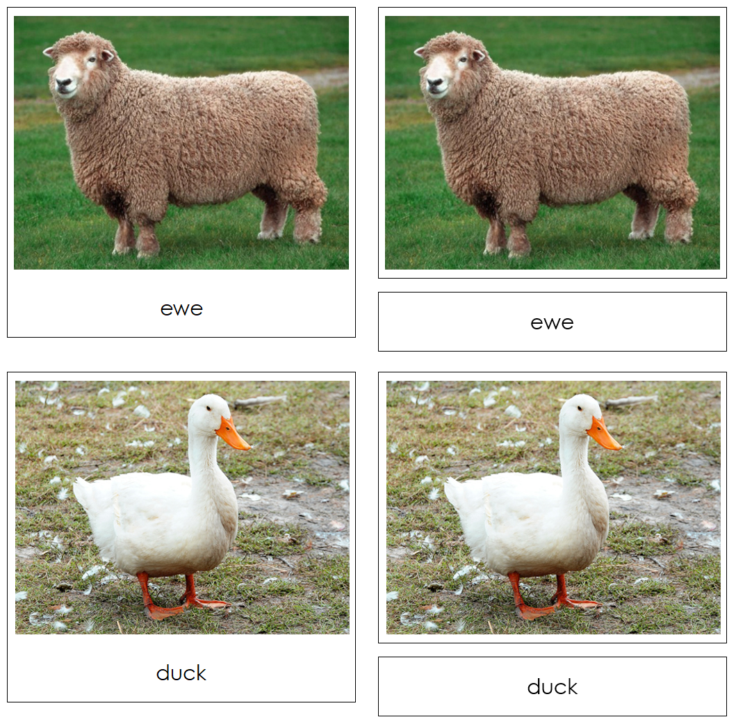 Farm - Safari Toob Cards - Montessori Print Shop Digital Download