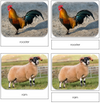 Farm - Safari Toob Cards