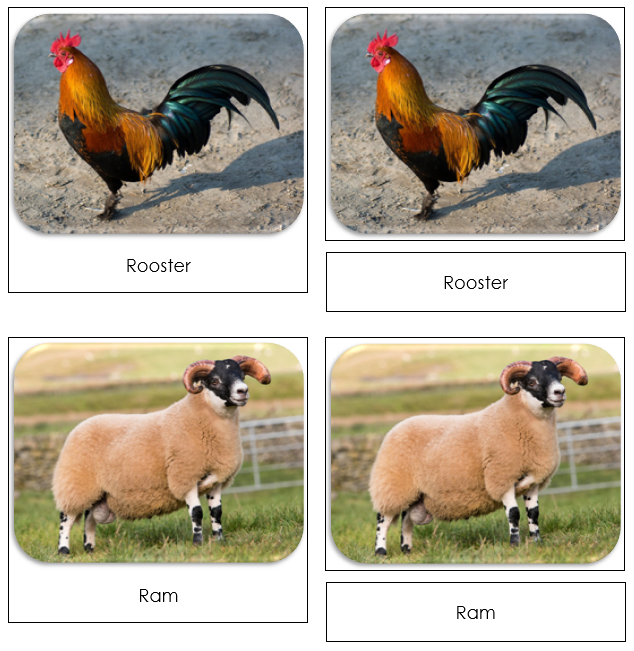 Farm Safari Toob Cards - Montessori Print Shop