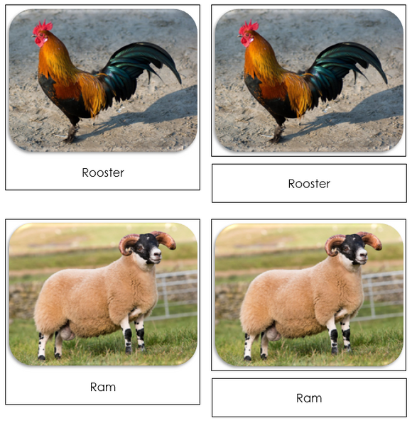 Farm Safari Toob Cards - Montessori Print Shop