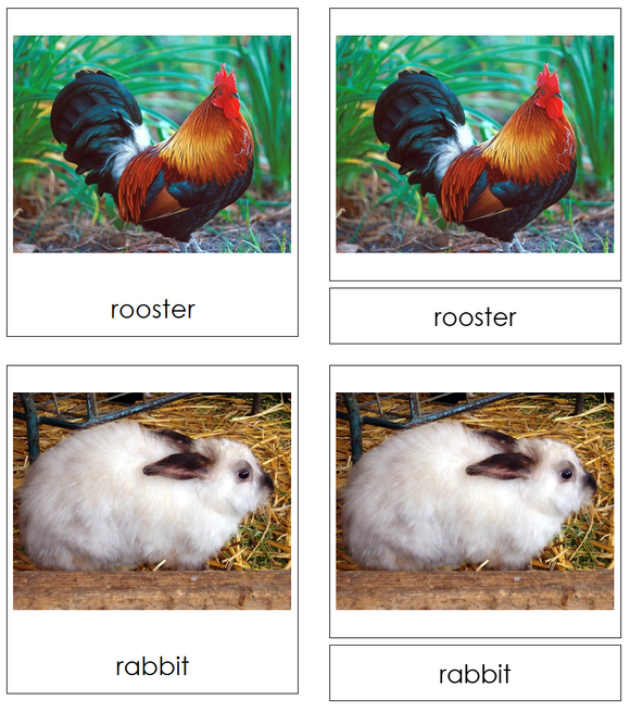 Types of Farm Animals 3-Part Cards - Montessori Print Shop Digital Download