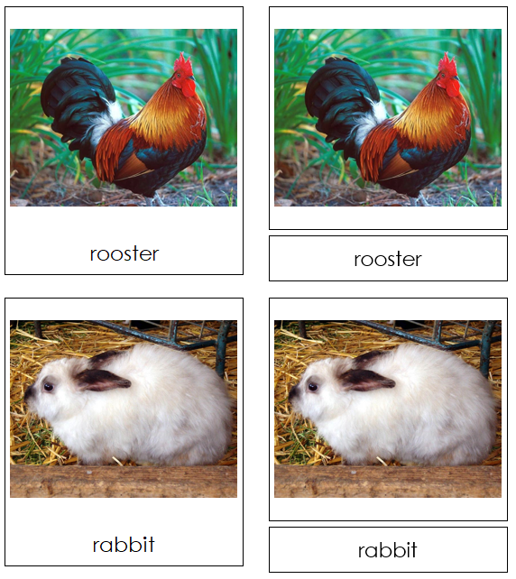 Farm Animals - Montessori Print Shop