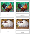 Farm Animals - Montessori Print Shop