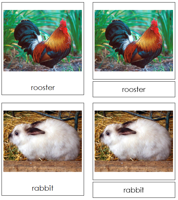 Farm Animal 3-Part Cards - Montessori Print Shop