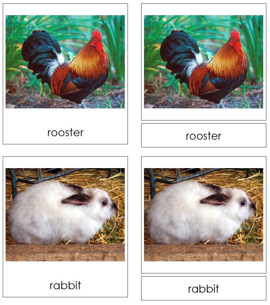 Types of Farm Animals 3-Part Cards - Montessori Print Shop Digital Download