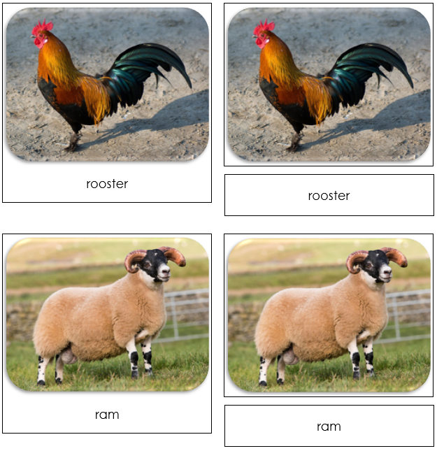 Farm - Safari Toob Cards