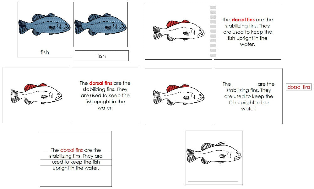 Montessori Fish Nomenclature Definition Set - Montessori Print Shop Digital Download