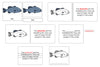 Fish Definition Set - Montessori Print Shop nomenclature