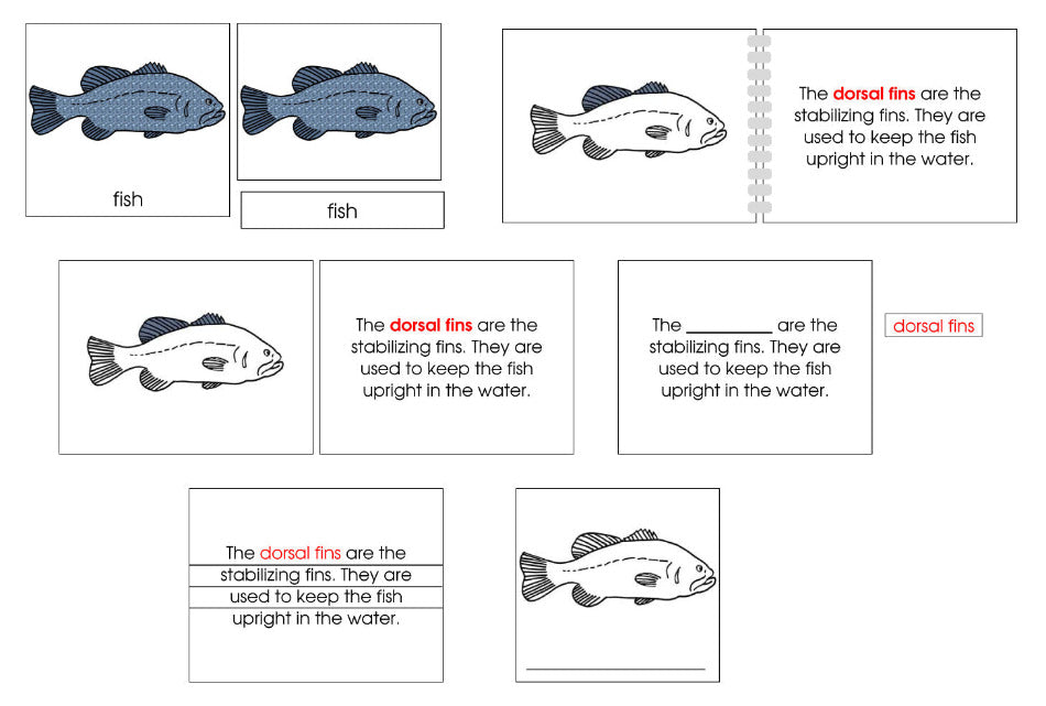 Montessori Fish Nomenclature Definition Set - Montessori Print Shop Digital Download