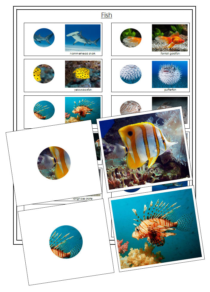 Fish Part to Whole Matching - Montessori Print Shop Digital Download