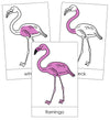 Flamingo Nomenclature Cards - Montessori Print Shop