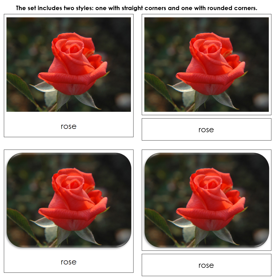 Flowers - Safari Toob Cards - Montessori Print Shop Digital Download