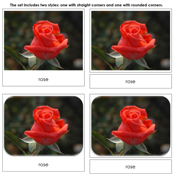 Flowers - Safari Toob Cards - Montessori Print Shop Digital Download