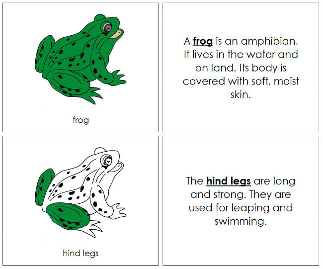 Montessori Frog 3-Part Nomenclature Book - Montessori Print Shop Digital Download
