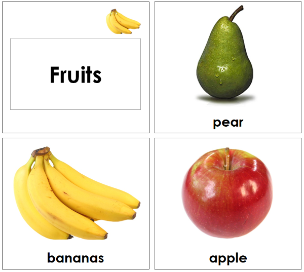Montessori Toddler Fruit Cards