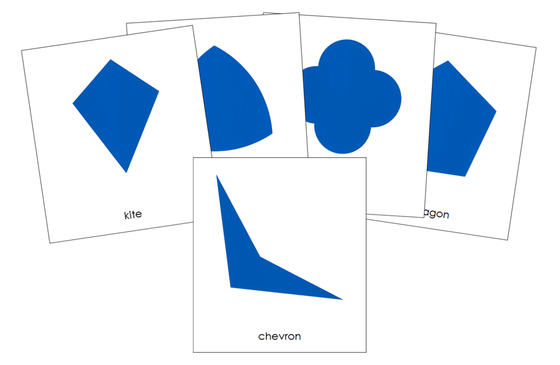 Geometry Cabinet 3-Part Cards