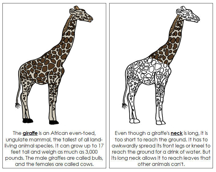 Giraffe Nomenclature Book - Montessori Print Shop Digital Download
