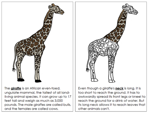 Parts of a Giraffe Nomenclature Book - Montessori Print Shop Digital Download