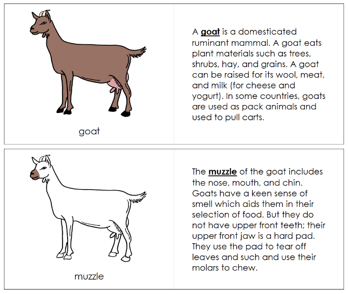 Parts of a Goat Nomenclature Book - Montessori Print Shop Digital Download