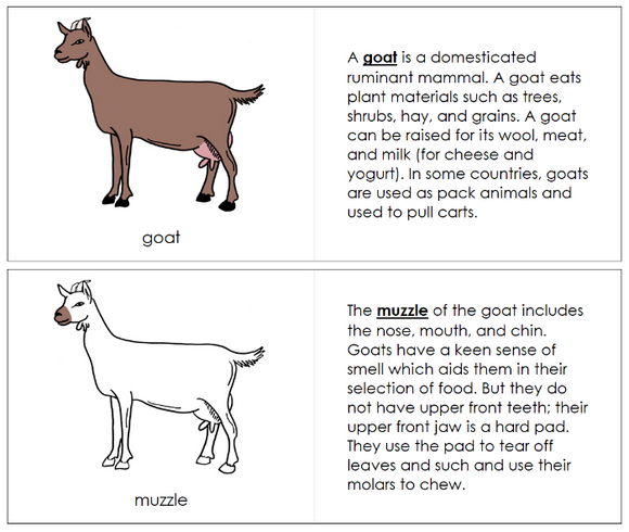 Parts of a Goat Nomenclature Book - Montessori Print Shop Digital Download